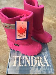 Tundra teddy оригинал из Канады, бесплатная доставка