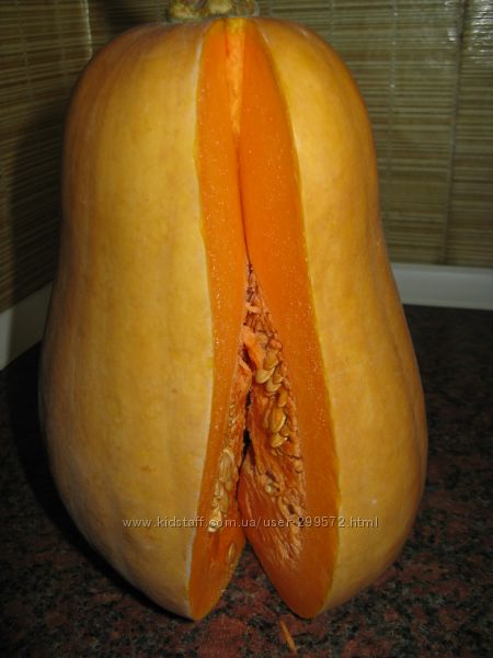 семена тыквы - лучшие сорта