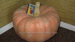 #3: розовая фея