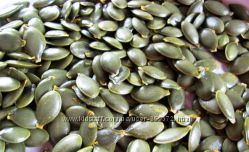 #6: голосеменная