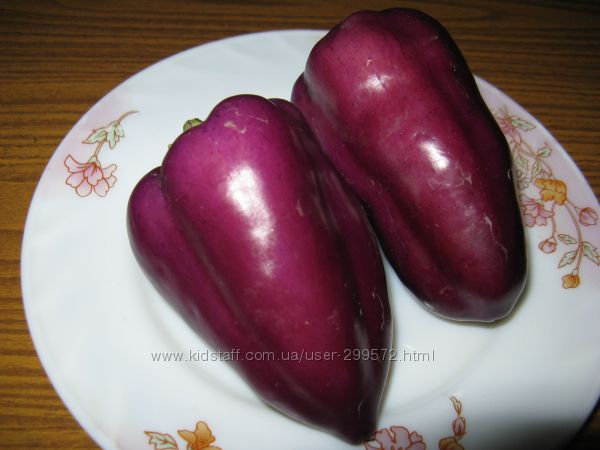 семена коллекционных томатов и сладкого перца