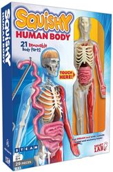 Набор для изучения тела скелет и органы сквиш SmartLab squishy human body а