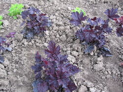 #8: Нет в наличии