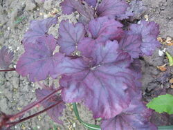 #10: Нет в наличии