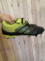 Спортивні чоловічі бутси Adidas 