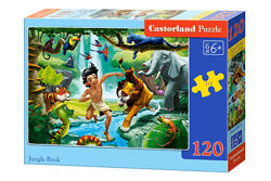 #7: B-13487 Castorland