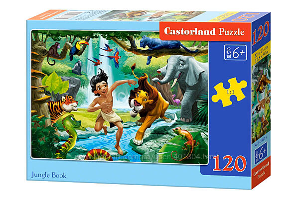 #7: B-13487 Castorland