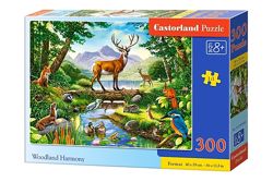#3: B-030408 Castorland