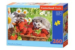 #3: B-27484 Castorland