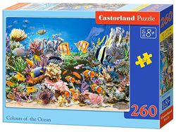 #4: B-27279 Castorland