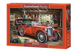 #6: С-104574 Castorland