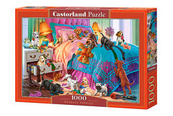 #7: С-104475 Castorland