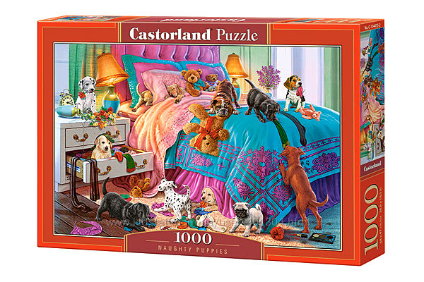 #7: С-104475 Castorland