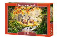 #6: С-104253 Castorland