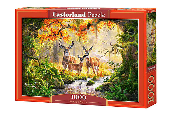 #6: С-104253 Castorland
