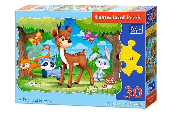 #7: В-03570 Castorland
