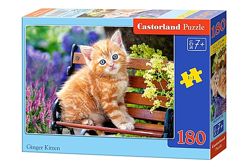 #6: Castorland В-018178