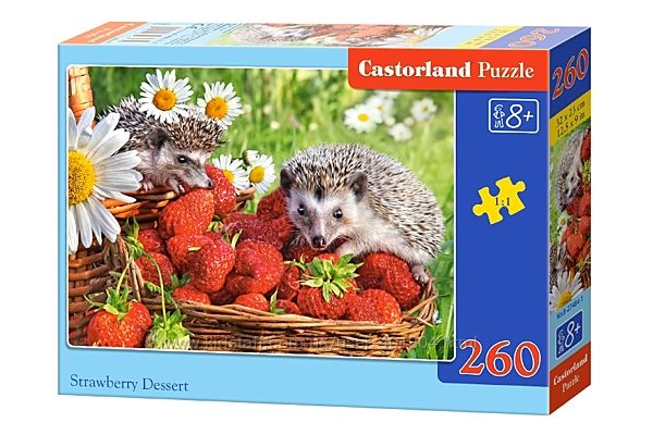 260 элементов Castorland Puzzle