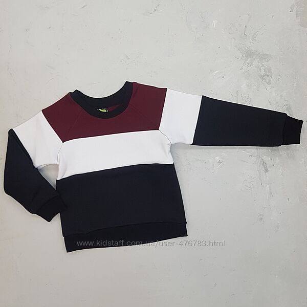 Дитячий теплий світшот на флісі для хлопчика