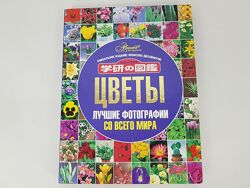 Книга энциклопедия Цветы. Лучшие фотографии со всего мира