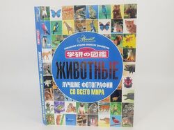 Книга энциклопедия Животные. Лучшие фотографии со всего мира