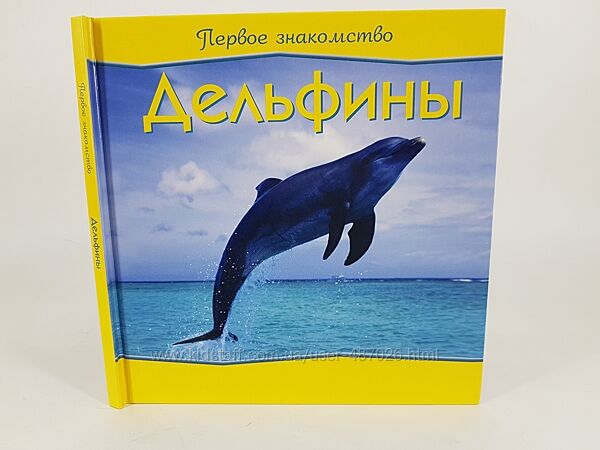 Детская книга Дельфины из серии Первое знакомство