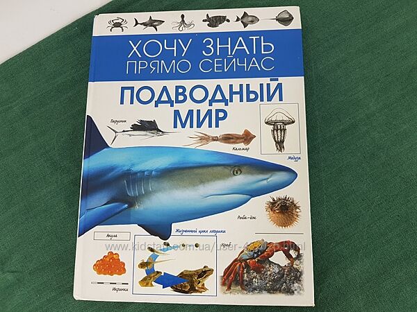 Книга Энциклопедия Подводный мир