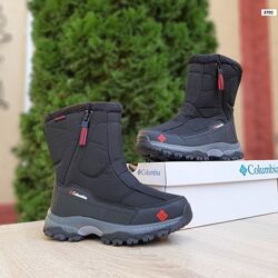 Зимние женские сапоги, черные, мех