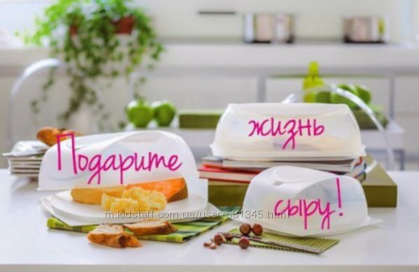 Умная Сырница  прямоугольная Tupperware 