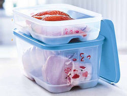 Набор  Умных  холодильников 4,4 л и 1.8л  мясо Рыба Tupperware 