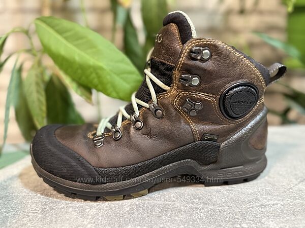 Ботинки Ecco Biom Gore-tex 39 р