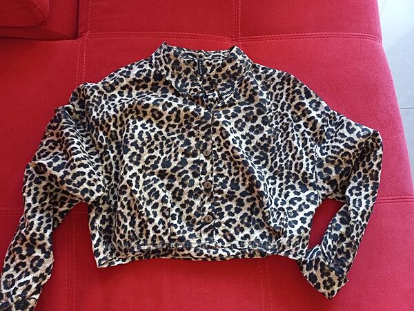 Модна рубаха М р. Caliope