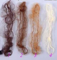 Сіточки для волосся, на гульку