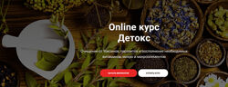 Тимофей Кармацкий Online курс Детокс 2023