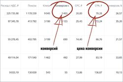 Михаил Гнедко Подписчики в автоворонку из Яндекс Директ 2025