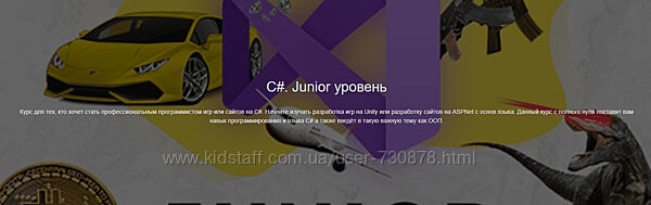 Роман Сакутин, Алексей Хохряков C. Junior уровень ЯЮниор