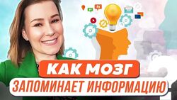 Виктория Мусатова Как мозг запоминает информацию 
