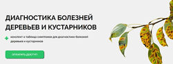 Умный садовник Диагностика болезней деревьев и кустарников 2025