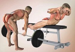 Александр Волоткевич Приседания и хинч. Реабилитации и тренировки таза