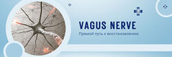 ShtDY Вагус. Путь к регенерации 2026