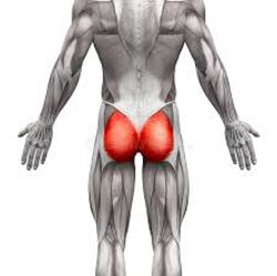 Александр Волоткевич Тренировка при плоских ягодицах и сглаженном