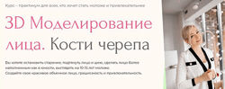 Инна Алферова 3D-моделирование лица. Кости черепа 7.0. Тариф Базовый