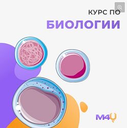 Курс по биологии Medforyou - школа медицины