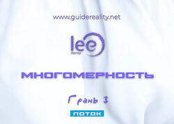 Lee Многомерность. Грань 3 - Поток 2025