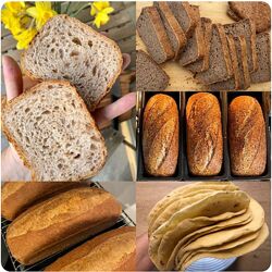 Ольга Кащиц ПекарьКО ПП-хлебопёк 2025