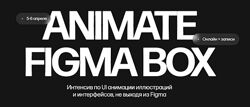 Кристина Анфалова Animate Figma Box. Тариф Только коробка 2025