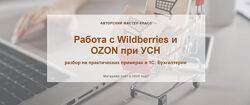 Алина Календжан Работа с Wildberries и OZON при УСН