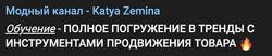 Екатерина Земина, Дарья Лаиш Полное погружение в тренды с инструментами 