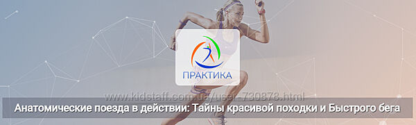 Анна Щербина Анатомические поезда в действии тайны красивой походки 