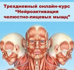 Александр Киреев Татьяна Евгений Коган Нейроактивация челюстно-лицевых мышц